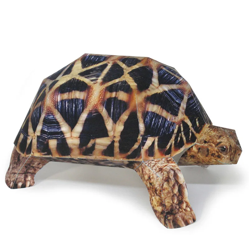 Art Craft Center - インドのスターカメ紙モデル、リアルな動物、ミニ折り紙アート、かわいい3Dペーパークラフト、DIYキッズ、大人の手作りクラフトおもちゃ、私たち-053