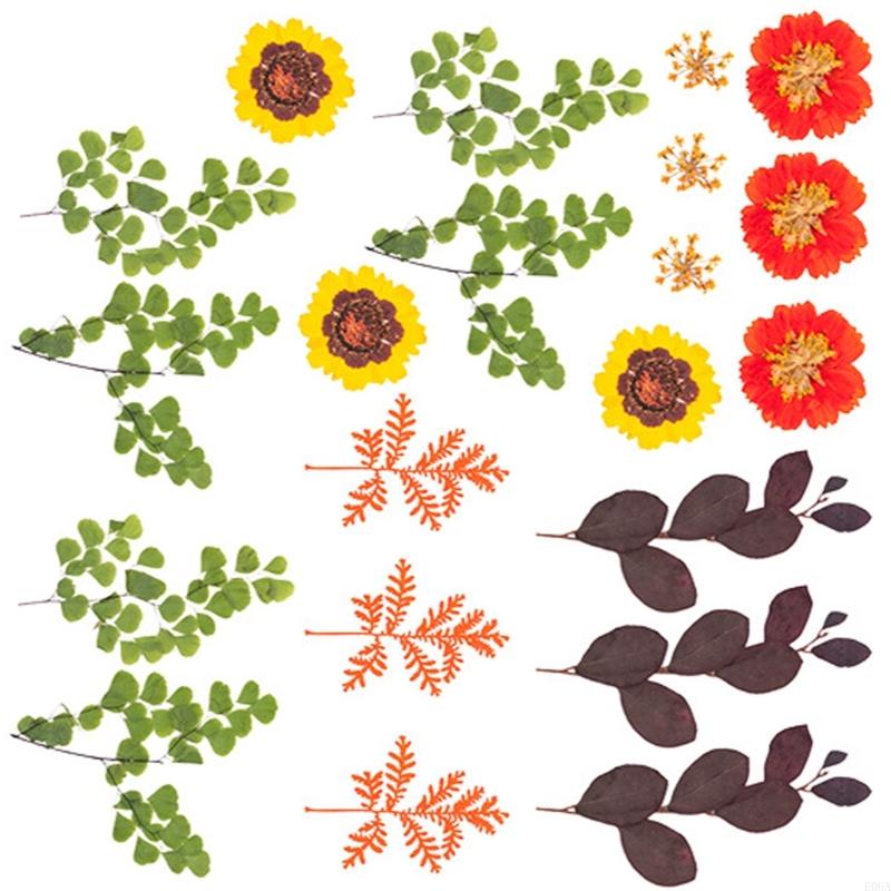 レジンモールド用ドライ押し花 スクラップブッキング ジュエリ - Art Craft Leaves のレビューと価格