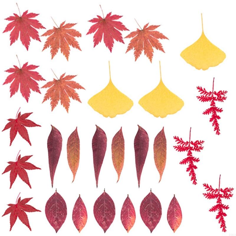 レジンモールド用ドライ押し花 スクラップブッキング ジュエリ - Art Craft Leaves のレビューと価格
