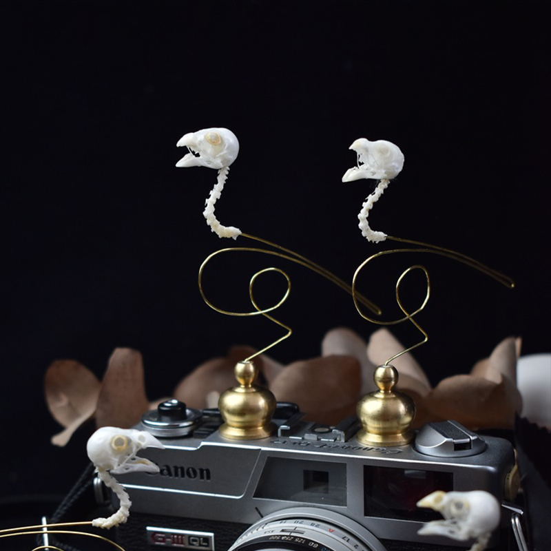 2111 ブティック エシカルバードスカルアート彫刻 銅製ア - Art Craft Museum のレビューと価格