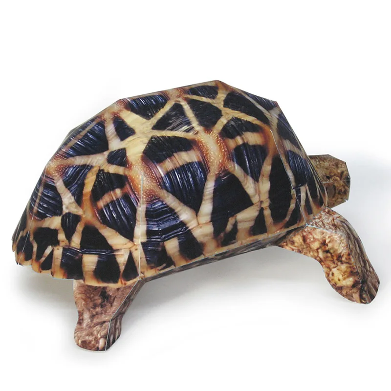 インドのスターカメ紙モデル、リアルな動物、ミニ折り紙アート、 - Art Craft Center のレビューと価格