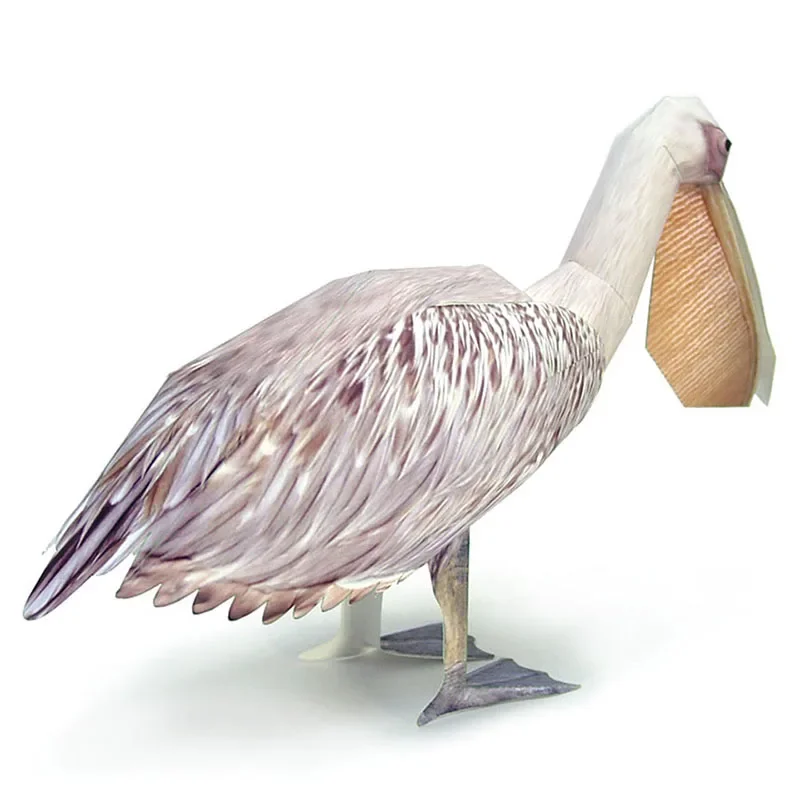 グレートホワイトペリカン鳥紙モデルリアルな動物ミニ折り紙アー - Art Craft Center のレビューと価格